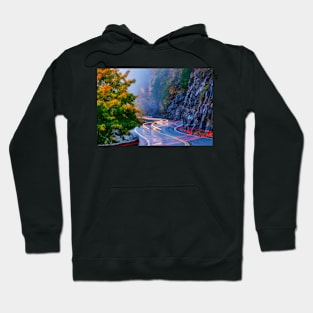 Car L.ights at the Hawk's Nest Hoodie